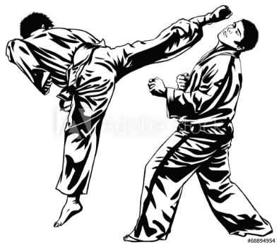 Picture of Tae Kwon Do